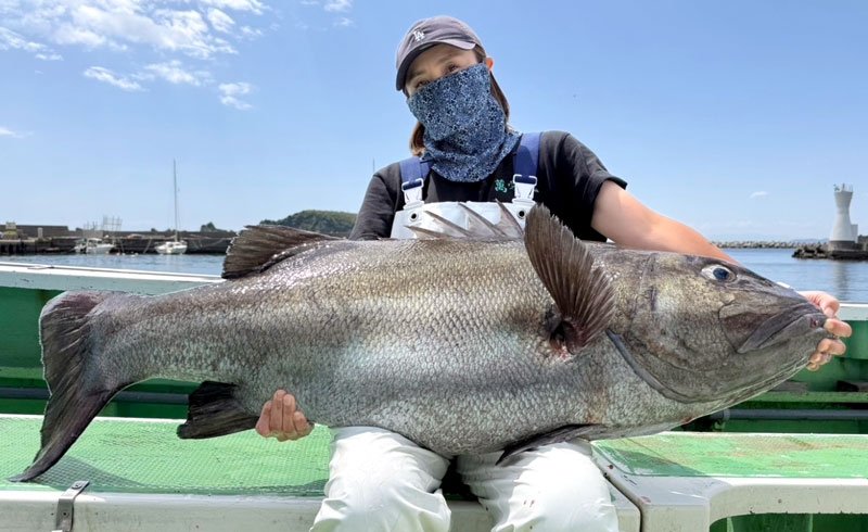 洲崎南大型マハタゲット　保田・木更津アジ狙える　【今週の釣果】