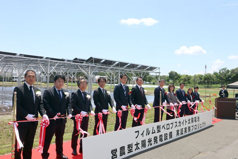 次世代太陽電池で「水田発電」　千葉大や千葉銀など５者、柏の葉で国内初　稲の生育、品質への影響を検証
