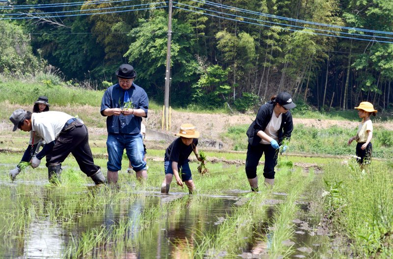 手作業での田植えに挑戦する参加者ら＝１６日、多古町