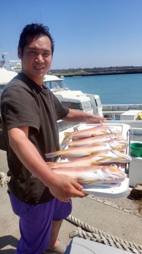 館山オニカサゴ幻の２・８キロ　木更津・保田アジ狙える　【今週の釣果】