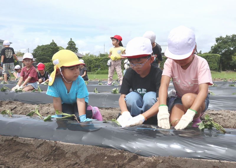 園児（手前左）の作業を手伝う児童＝２６日、長生村