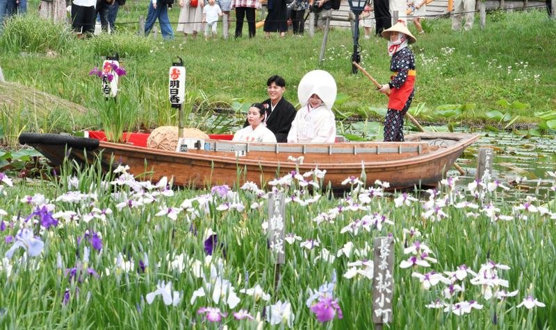 【動画あり】嫁入り舟で晴れ姿披露　来園者の祝福に笑顔　香取・あやめパーク