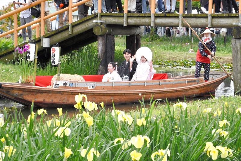 【動画あり】嫁入り舟で晴れ姿披露　来園者の祝福に笑顔　香取・あやめパーク