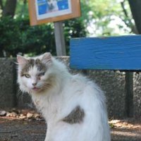 【地方発ワイド】まとめ　２０１５年上半期