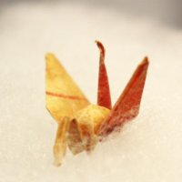 サダコ鶴、我孫子に　常設で平和の尊さ伝える　「原爆の子の像」モデル　【戦後７０年ちば】