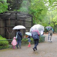 ＧＷ初日の千葉市動物公園は閑散としていた＝２９日午前、千葉市若葉区