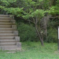 ミステリアス！？軍都の歴史伝える遺構　「訓練用の１２階段」（佐倉市）　【北総ご近所巡り　面白スポット謎解き編】（６）