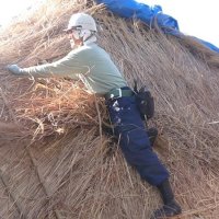屋根に茅（かや）の束を挿し入れる作業員（南房総市提供）
