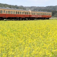 宿泊、観光ともに前年比増　例年並みの回復は遠く　千葉県内３月