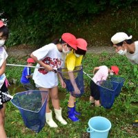 水田地帯の自然実感　夷隅小　生き物調査に没頭