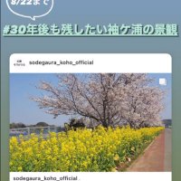 ３０年後も残したい景観募集　袖ケ浦市５スポット選定へ