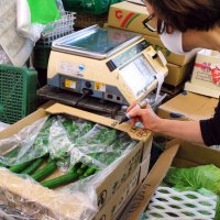 天候不順で野菜高騰　レタスは倍、購入控え　千葉県内青果・飲食店　コロナ禍に追い打ち