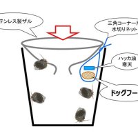 開発中のわなのイメージ図（県立農業大学校提供）