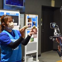 館山の豊かな海守ろう　イベントで環境問題考える