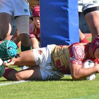 流通経大柏２７連覇　後半６トライで突き放す　全国高校ラグビー千葉県大会