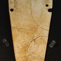 縄文時代の男性リーダーが着けていたイルカの下顎骨製の腰飾り
