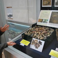 天神台遺跡の出土品を説明する担当者＝千葉市中央区の県立中央博物館
