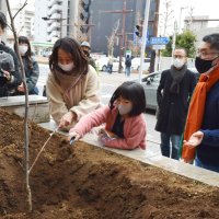平和への思い育って　被爆二世の苗木植樹　千葉市美術館
