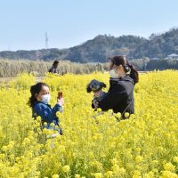 房総に春の息吹　全１５観測地点　今年最高気温