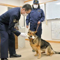 “初手柄”の警察犬エレナ号に感謝状　行方不明の高齢女性を発見、救う　山武署