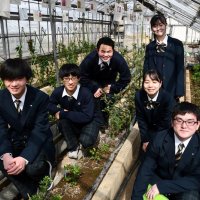 育て、友好のバラ「ＡＩＫＯ」　流山高園芸科　ブルガリア大使が寄贈　愛子さま誕生を記念