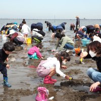 「大きいアサリあったよ」　富津で潮干狩り場オープン　生育順調、漁協も期待