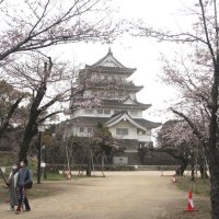 桜ちらほら　千葉市亥鼻公園