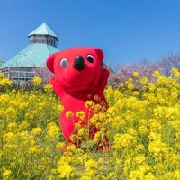 「千葉とく旅」期間延長　日帰り、直接予約可能に　連休後５月９～３１日