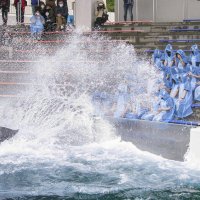 新入社員にシャチあれ　「ラビー」水しぶきで祝福　鴨川シーワールド