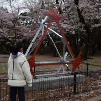 戦争の記憶後世へ－　旧陸軍気球連隊の格納庫　屋根一部を展示　千葉公園