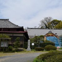 復元が進む書院（右）。左は被災を逃れた本堂＝千葉市中央区の大巌寺