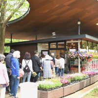 ２４年ぶり転入超過　移住促進、いかに継続　【栄町の課題　５・１５町長選】