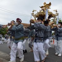 例大祭のかけ声戻る　３年ぶりみこし渡御　匝瑳・八日市場東照宮