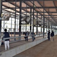 最新搾乳ロボで作業効率化　人手増やさず事業拡大　四街道・若月牧場