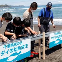 鴨川シーワールド、千葉県民対象に入館割引　６月２～３０日　１５日はマダイ放流体験も