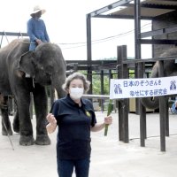 ゾウの幸せ考える　市原ぞうの国、日本初の研究会設立　生態や感情テーマに