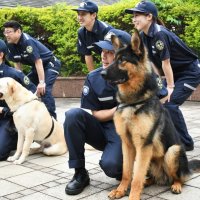 １２匹の新たな麻薬探知犬が誕生、摘発の最前線へ　４カ月の厳しい訓練終え　成田
