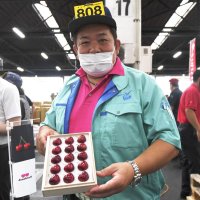 サクランボ１粒４万円！　青森初競り　３年連続、千葉の長塚青果落札