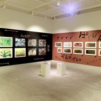 絵本の原画の展示室には、作品内で使われた擬音文字も配されている