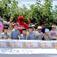 船橋でも「一番梨」収穫　ジェッツキャラや児童ら試食