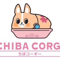 新キャラ「ちばコーギー」ＳＮＳで人気　マイメロと一緒に活用　創立７０周年、若手行員が発案　千葉興銀
