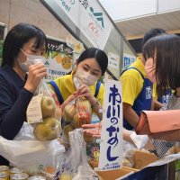 ひょう害の梨、広がる支援　西船橋駅で格安販売　異業種が買い取りも　ＪＡいちかわ