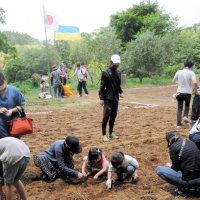 日本とウクライナの国旗を掲げたオリーブ園で６月５日、ヒマワリの種をまいた有志