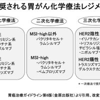 薬物療法効果上がる　薬剤併用で上乗せ期待　胃がん（３）　千葉県がんセンター治験臨床研究センター　治験臨床試験推進部主任医長　天沼裕介【９月はがん征圧月間　ちば　がんにうち克つ】（３）