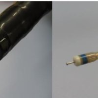 早期は内視鏡で完治　症状なく日頃の検診重要　千葉県がんセンター　大腸がん（２）　内視鏡科部長　鈴木拓人　【９月はがん征圧月間　ちば　がんにうち克つ】（７）