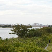 【速報】女の子とみられる遺体見つかる　はだしで不明の松戸女児と似た服着用　関連を捜査　靴発見場所から１４キロ南の江戸川　市川