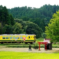 沿線にのどかな里山風景が広がるいすみ鉄道＝大多喜町