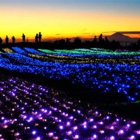 マザー牧場　イルミネーションと富士山夕景コラボ　ウサギモチーフの写真スポットも新登場