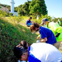 みんなで花咲く灯台に　スカシユリ球根植え　いすみ・太東小４年生