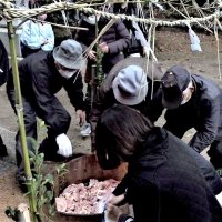 息災願い肉奪い合う　千葉県文化財「ししきり祭」　君津・諏訪神社